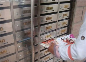 松江區dm設計印刷制作投遞