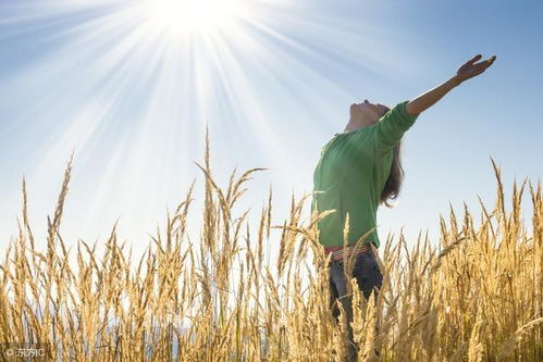 勵志古詩文60句 苔花如米小,也學(xué)牡丹開